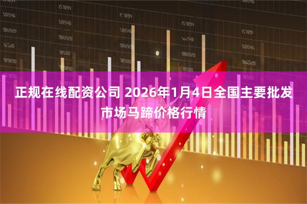正规在线配资公司 2026年1月4日全国主要批发市场马蹄价格行情